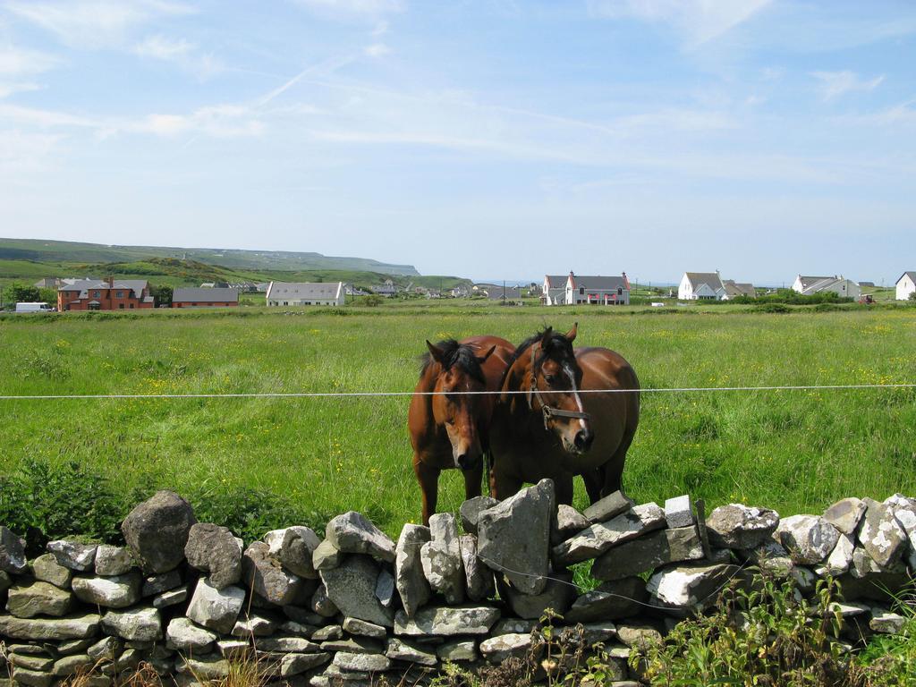 Nellie Dee'S Bed & Breakfast Doolin Exterior foto